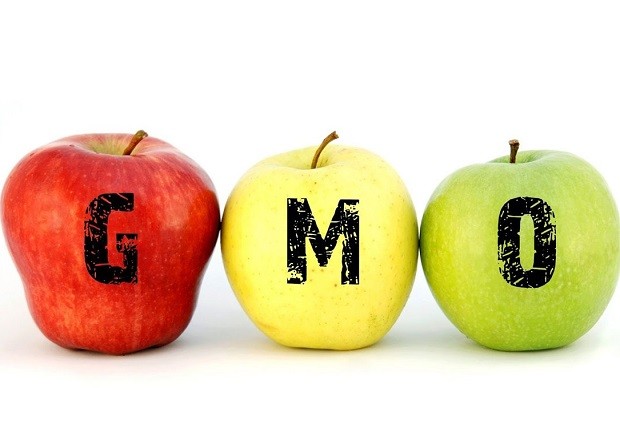 GMO Là Gì? Biến Đổi Gen Là Gì? Những Sự Thật "Khó Tin" Về Thực Phẩm Biến Đổi Gen
