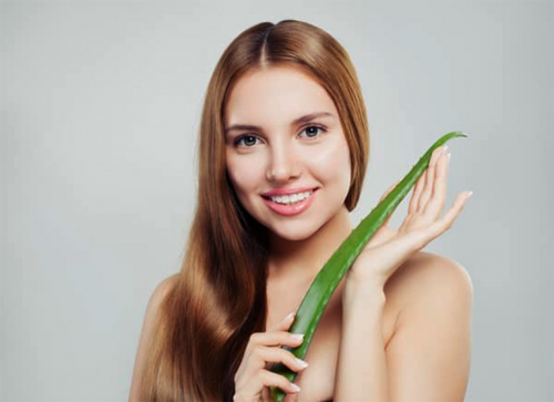 Hướng dẫn cách trị bệnh rụng tóc bằng cây nha đam đơn giản dễ làm nhưng rất hiệu quả